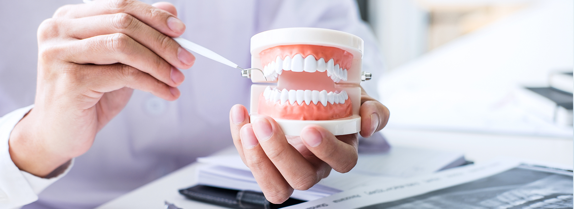 The image shows a person s hands holding a toothbrush with toothpaste, examining an open mouth model in a dental office setting.